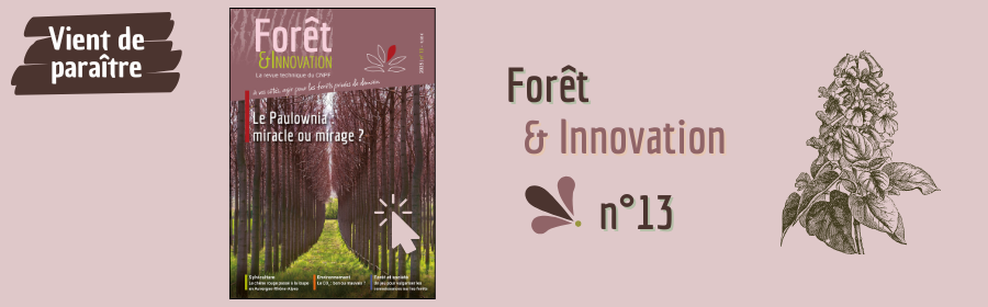 https://librairie.cnpf.fr/produit/670/9782385580933/foret-innovation-25-013