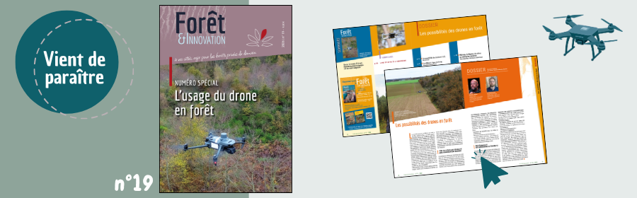 L'image fait la promotion de la sortie du n°19 de la revue Forêt & Innovation