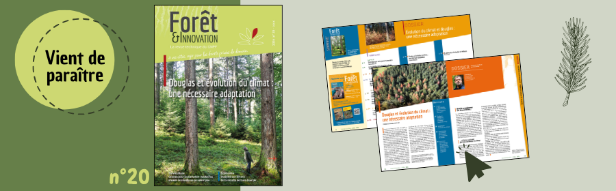 L'image fait la promotion de la sortie du n°19 de la revue Forêt & Innovation