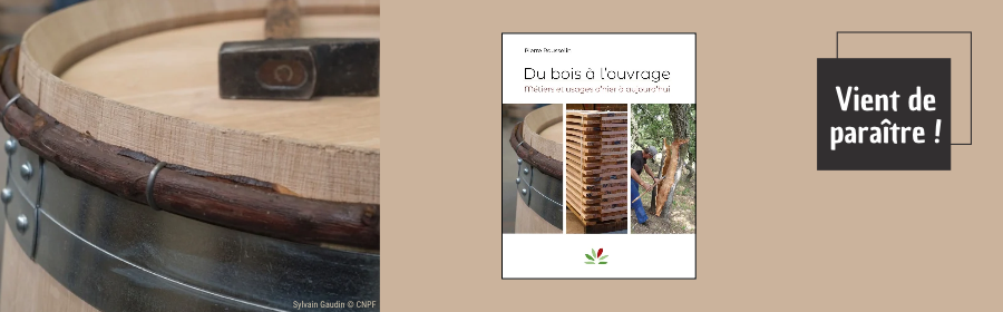 Cette image fait la promotion de la sortie en automne du livre "Du bois à l'ouvrage. Métiers et usages d'hier à aujourd'hui", écrit par Pierre Rousselin.