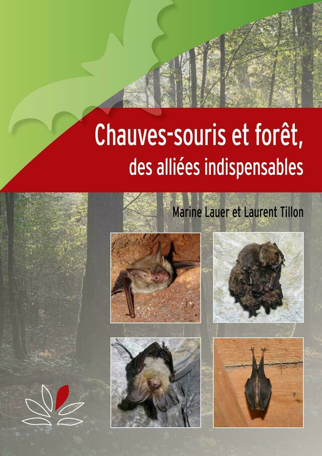 Chauves-souris et forêt - Marine Lauer, Laurent Tillon - CNPF-IDF