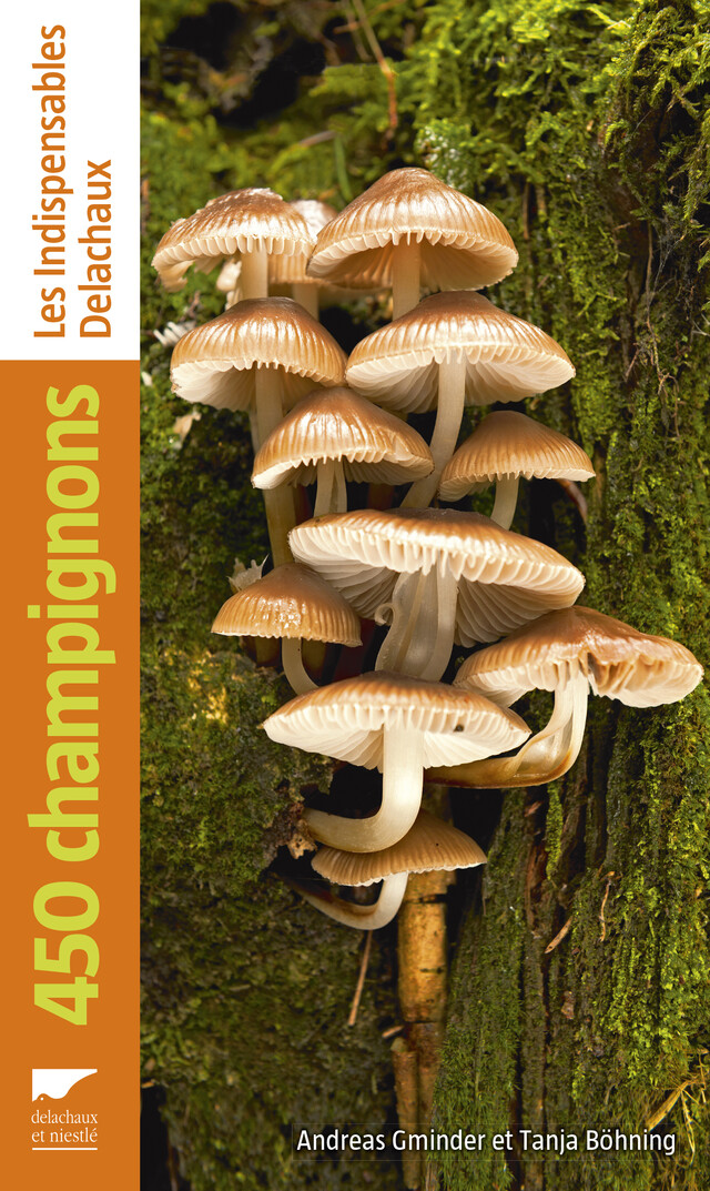 450 champignons - Andreas Gminder, Tanja Böhning - Editions Delachaux et Niestlé