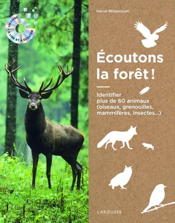 Écoutons la forêt !