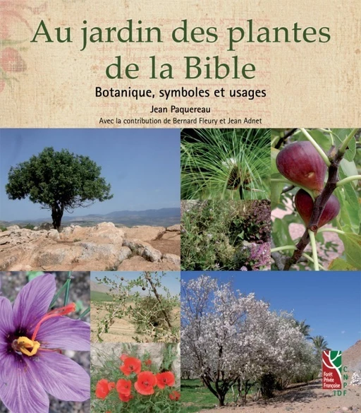 Au jardin des plantes de la Bible - Jean Paquereau - CNPF-IDF