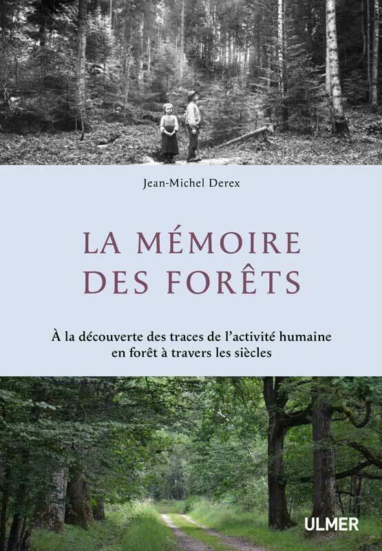 La mémoire des forêts - Jean-Michel Derex - Editions Ulmer