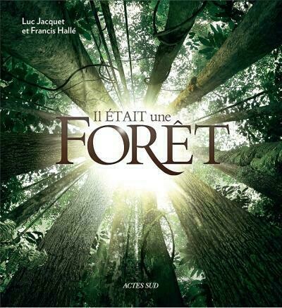 Il était une forêt - Francis Hallé, Luc Jacquet - Editions Actes Sud