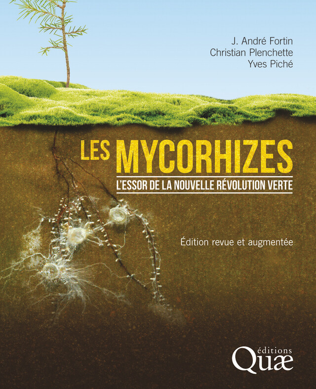 Les mycorhizes - J. André Fortin, Yves Piché, Christian Plenchette - Editions Quae