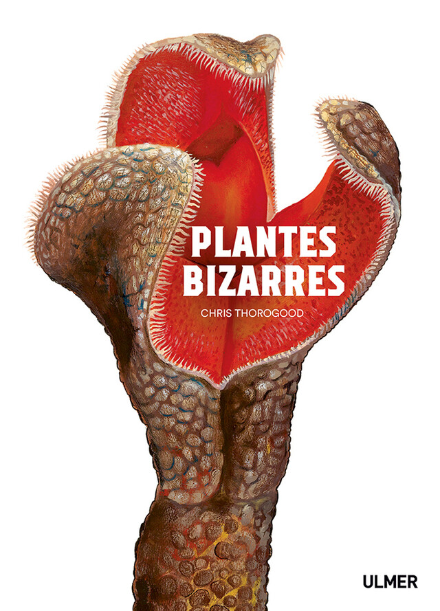Plantes bizarres - Chris Thorogood - Editions Ulmer