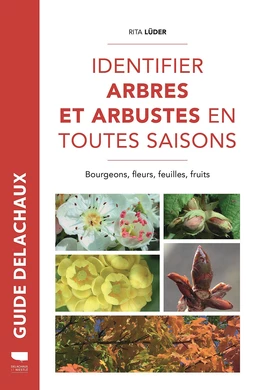 Identifier arbres et arbustes en toute saison