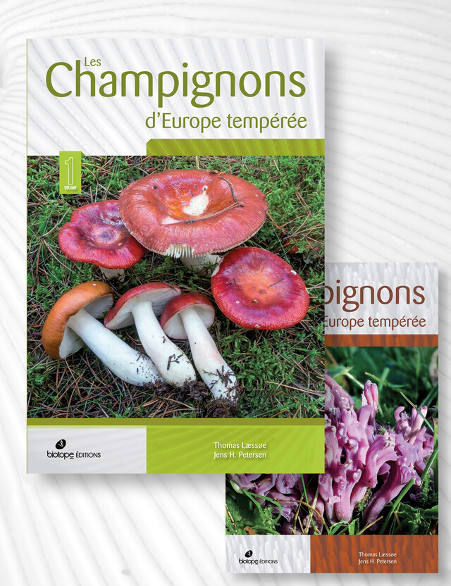 Les champignons d'Europe tempérée (2 volumes) - Jens H. Petersen, Thomas Læssøe - Editions Biotope 