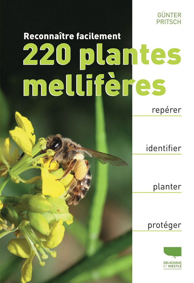 Reconnaître facilement 220 plantes mellifères - Günter Pritsch - Editions Delachaux et Niestlé