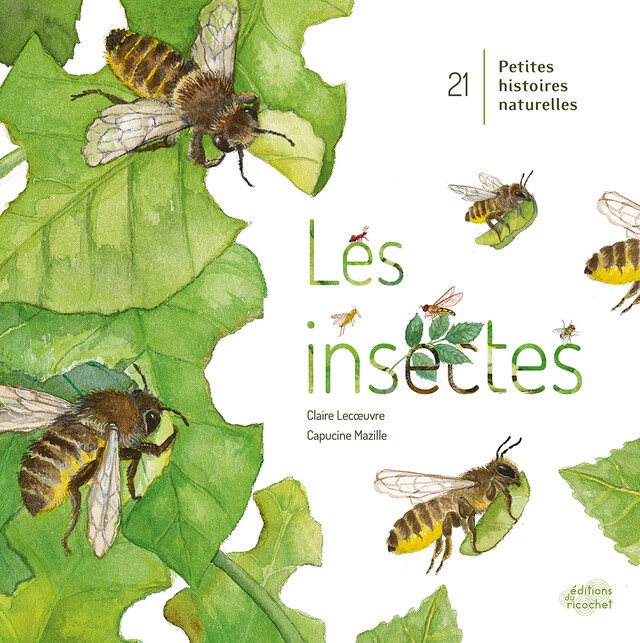 Les insectes - Claire Lecœuvre - Editions du Ricochet