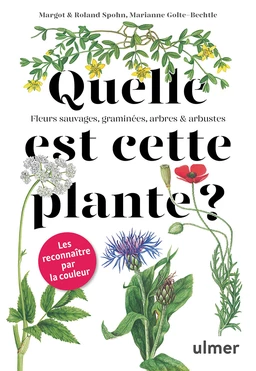 Quelle est cette plante ?