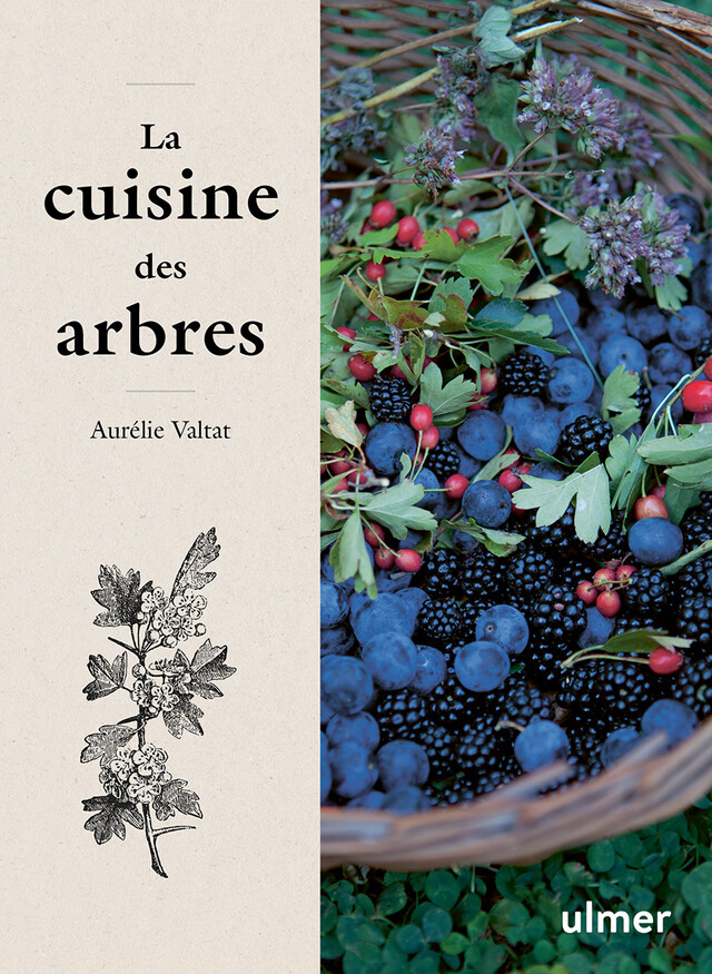 La cuisine des arbres - Aurélie Valtat - Editions Ulmer