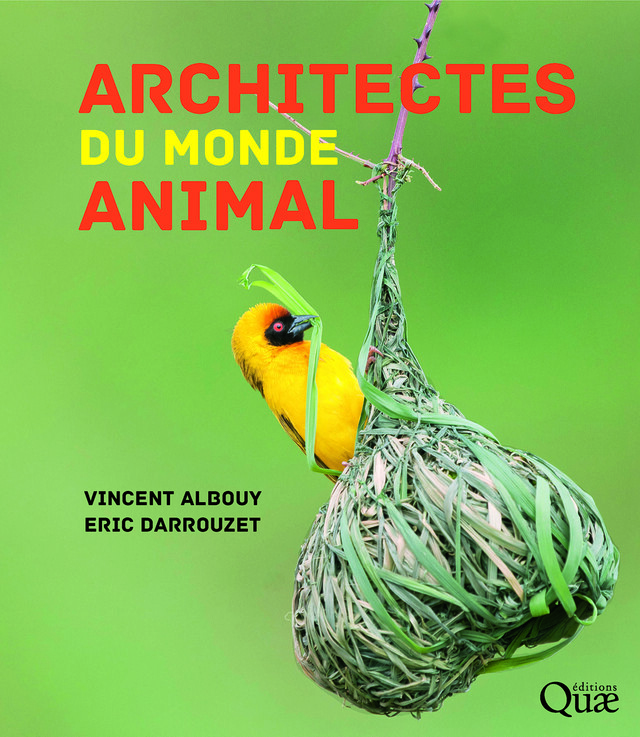 Architectes du monde animal - Vincent Albouy, Éric Darrouzet - Editions Quae