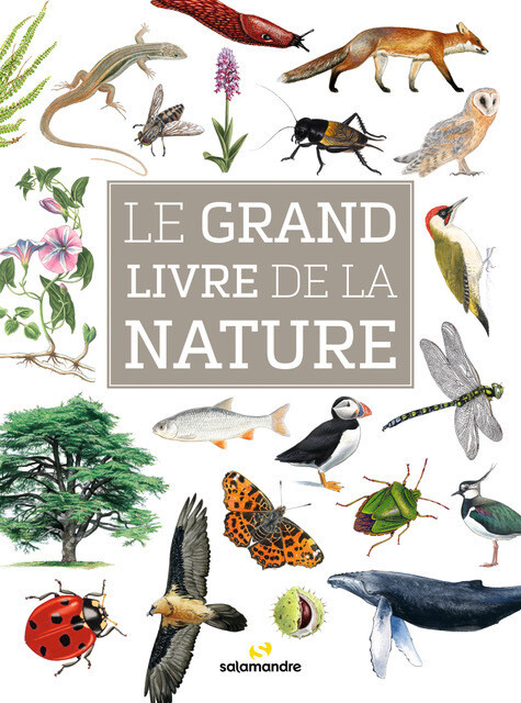 Le grand livre de la nature - Alessandro Staehli, Franck Bas - Editions La Salamandre