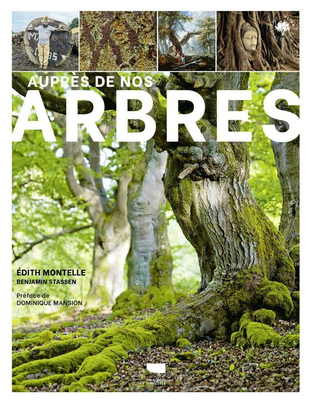 Auprès de nos arbres - Édith Montelle - Editions Delachaux et Niestlé