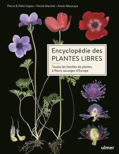 Encyclopédie des plantes libres - Annie Aboucaya, Nicole Marchal, Pierre et Délia Vignes - Editions Ulmer