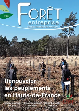 Forêt-entreprise n°262