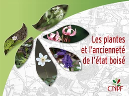 Les plantes et l'ancienneté de l'état boisé