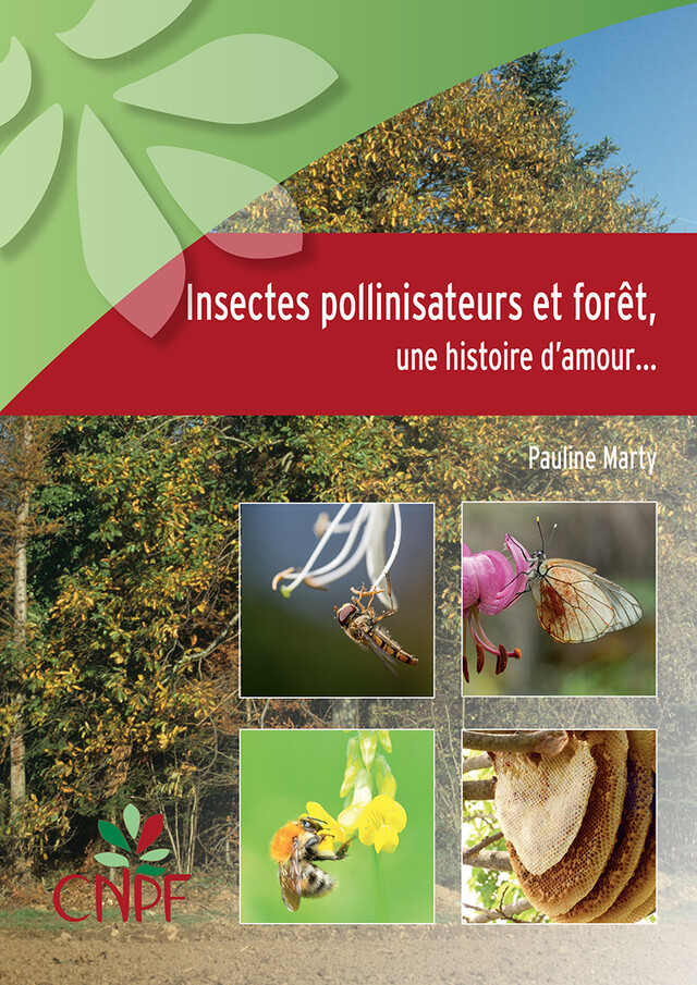 Insectes pollinisateurs et forêt - Pauline Marty - CNPF-IDF