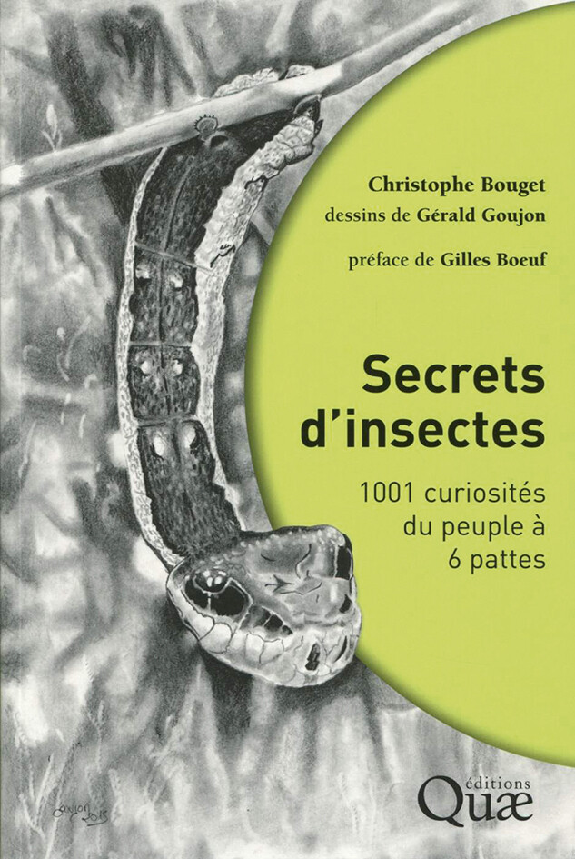 Secrets d'insectes - Christophe Bouget, Gérald Goujon - Editions Quae