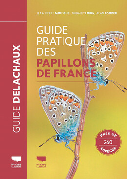 Guide pratique des papillons de France