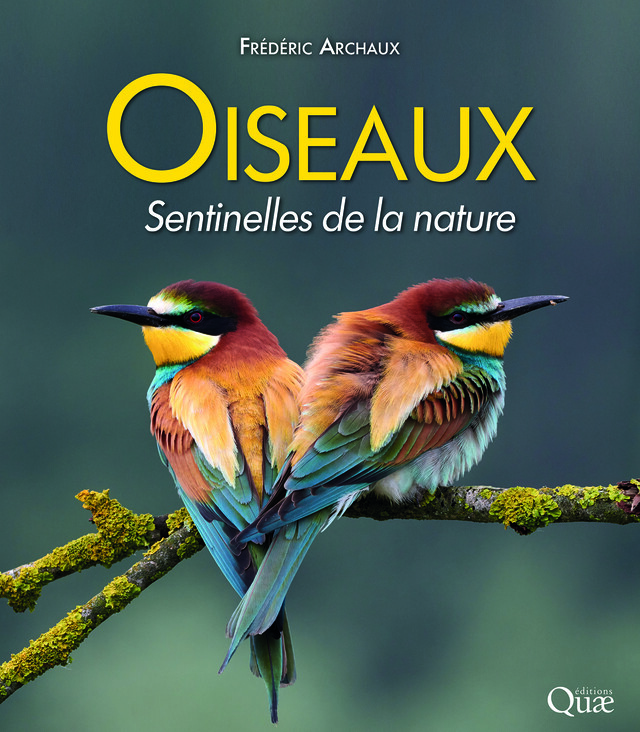 Oiseaux, sentinelles de la nature - Frédéric Archaux - Editions Quae