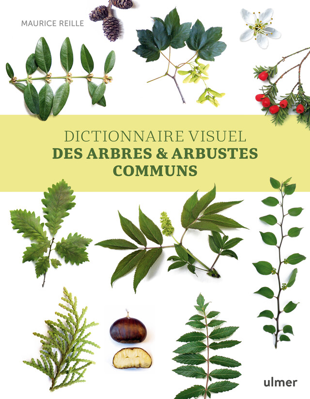 Dictionnaire visuel des arbres et arbustes communs - Maurice Reille - Editions Ulmer