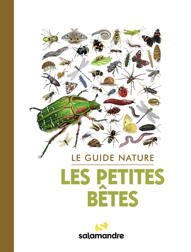 Le guide nature – Les petites bêtes -  Ouvrage collectif - Editions La Salamandre