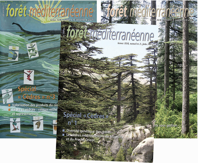 Forêt Méditerranéenne spécial cèdres : lot de 3 revues -  - Editions Forêt Méditerranéenne