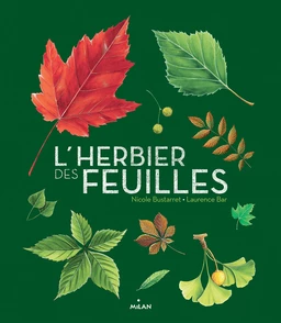 L'herbier des feuilles