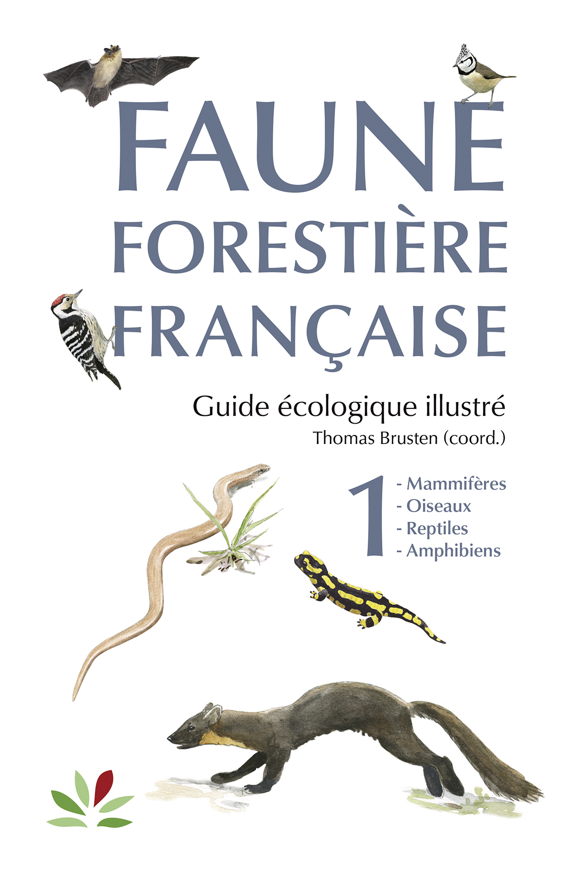 La faune des forêts françaises - Forêts Anciennes