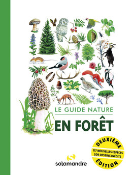 Le guide nature – en forêt