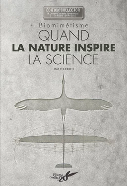 Biomimétisme – Quand la nature inspire la science